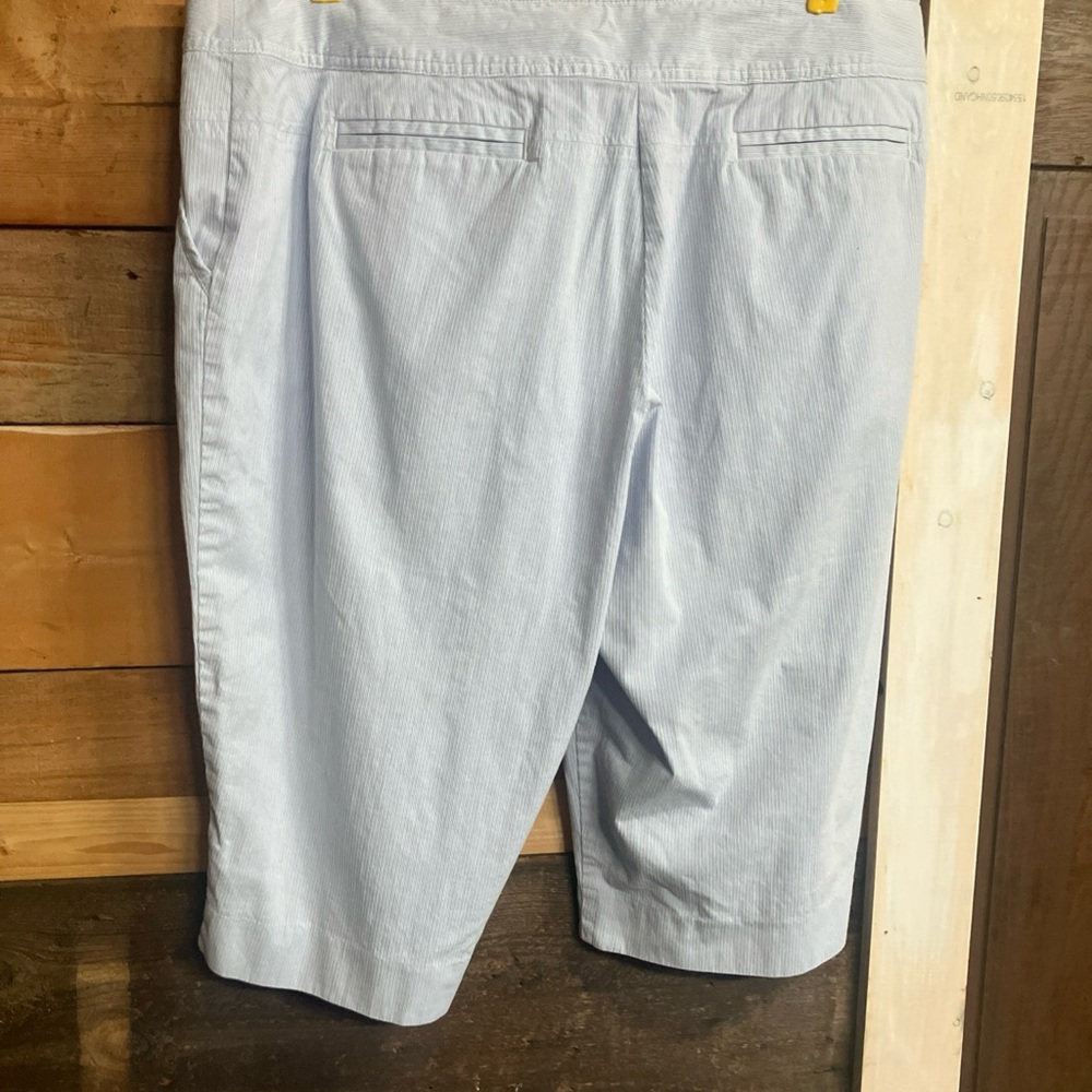 Rafaella Blue Capri Pants or long shorts Lightweight Summer Style 20W - Picture 5 of 10